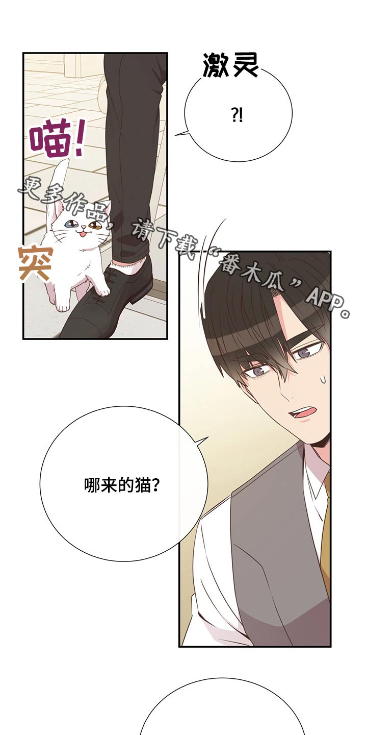 初恋的美妙体验漫画,第55章：质问1图