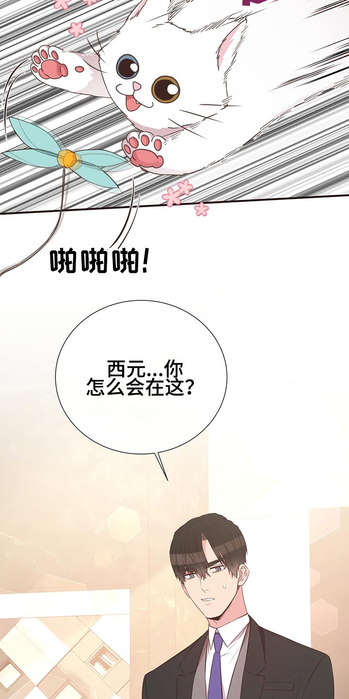 美妙系列100部小说完整版漫画,第64章：不想去2图