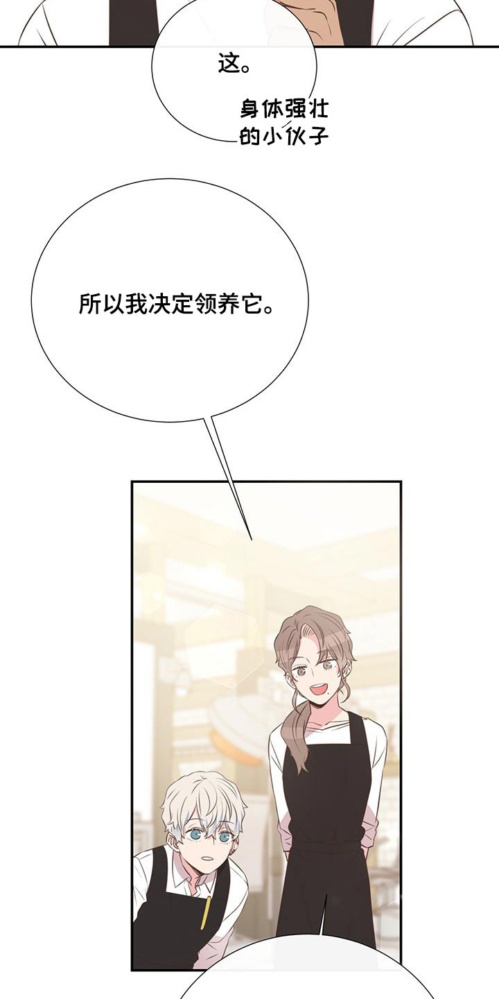 美淼储能科技有限公司漫画,第51章：回国1图