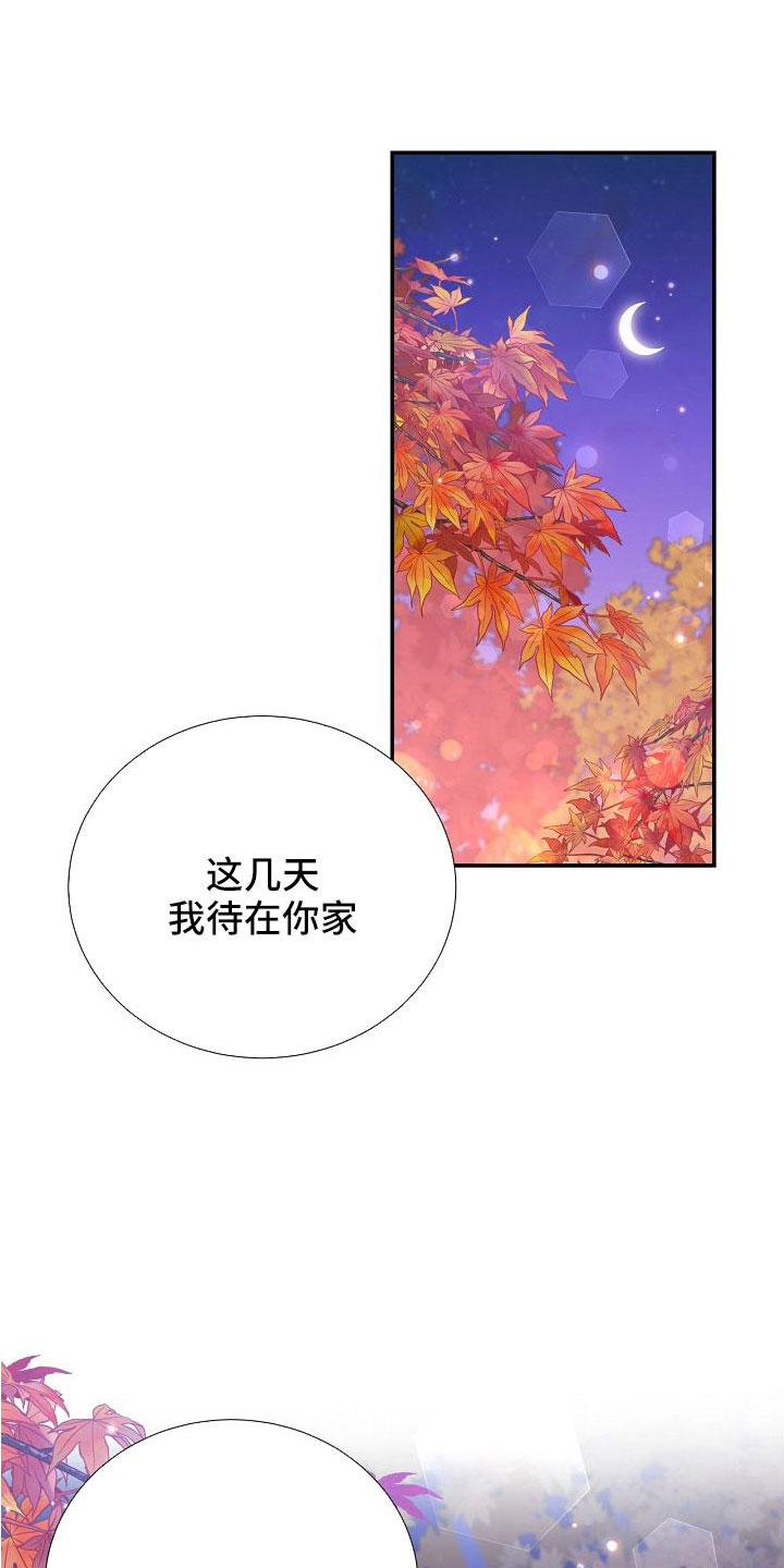 真实而美妙有种初恋的味道漫画,第101章：你疯了吗2图