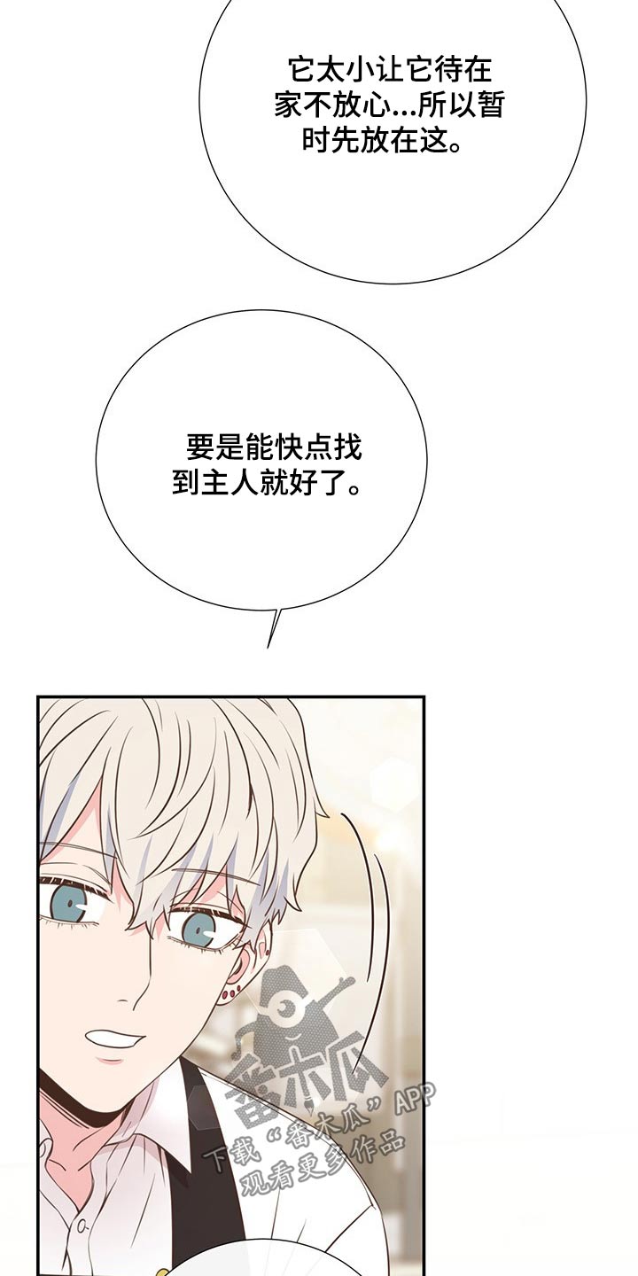 美淼储能科技有限公司漫画,第51章：回国2图