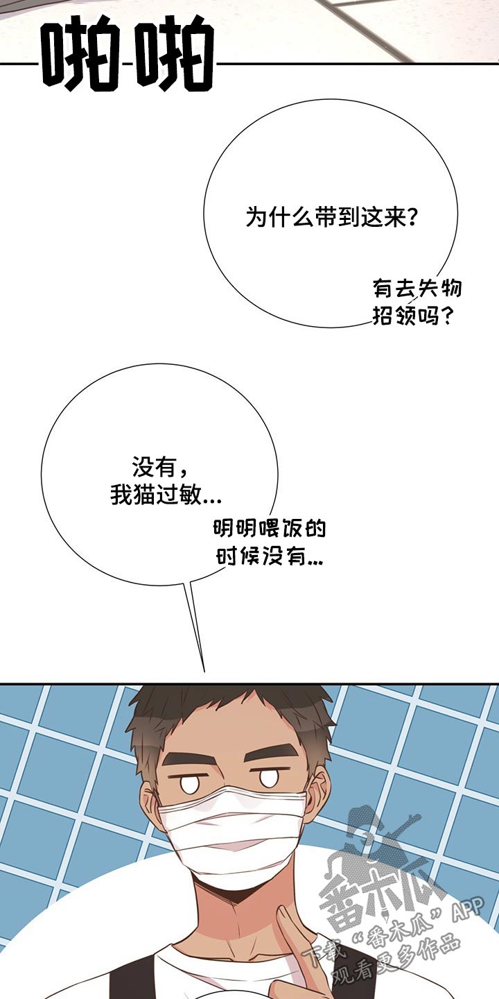 美妙旋律第三季奈露漫画,第51章：回国2图