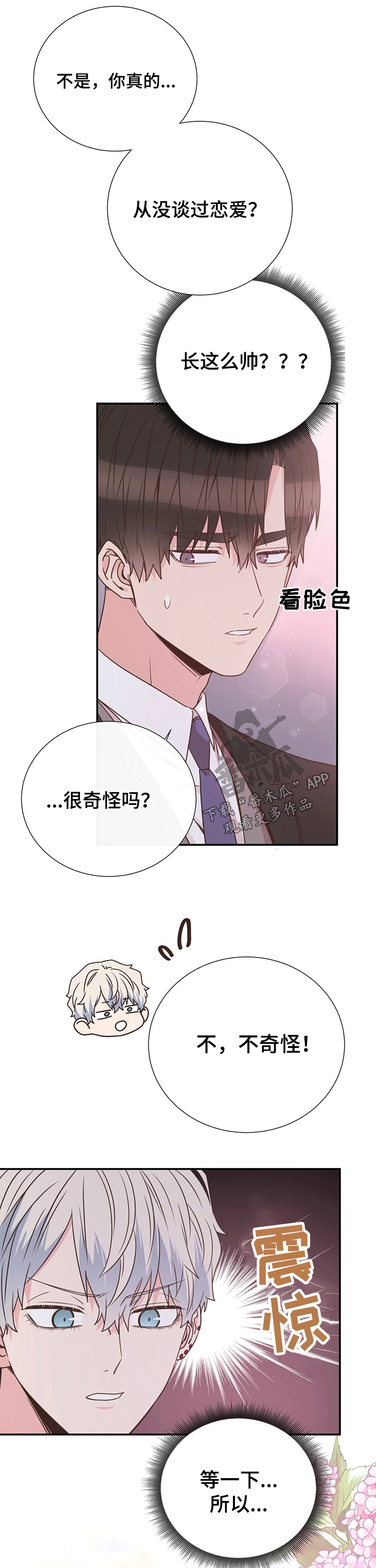 美妙系列100部小说完整版漫画,第43章：计划1图