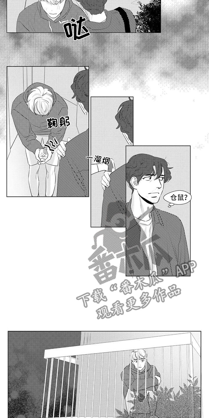 心灵煤球漫画,第17章：仓鼠2图