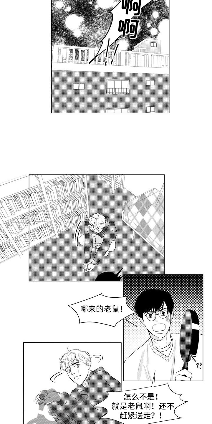 心灵美文摘抄片段大全漫画,第17章：仓鼠1图