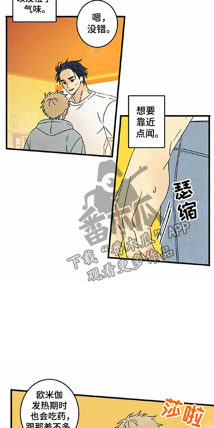 易感期大作战漫画,第6章：橙子香味2图