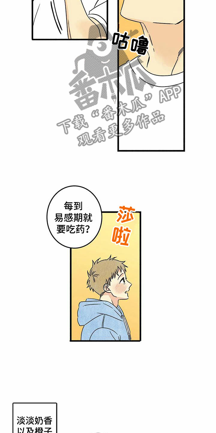 易感期大作战漫画,第6章：橙子香味1图