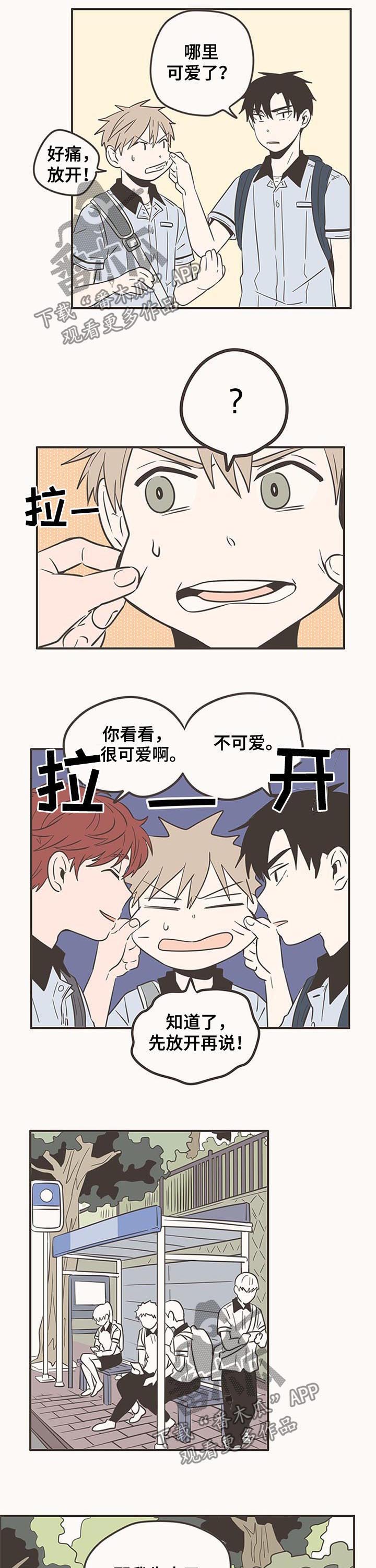 隐秘表达漫画,第55章：可爱2图
