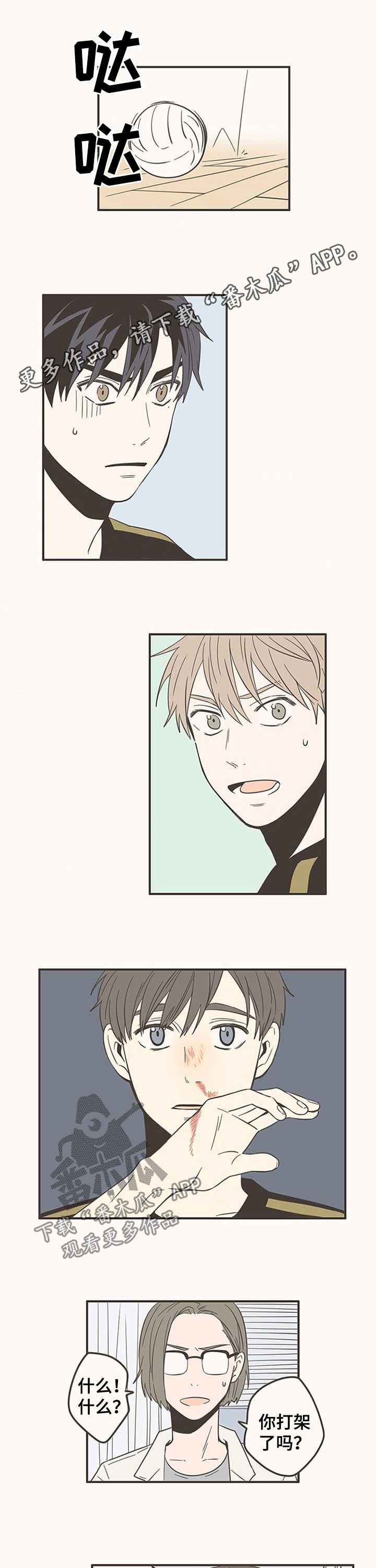 隐秘表达生日漫画,第65章：道歉1图
