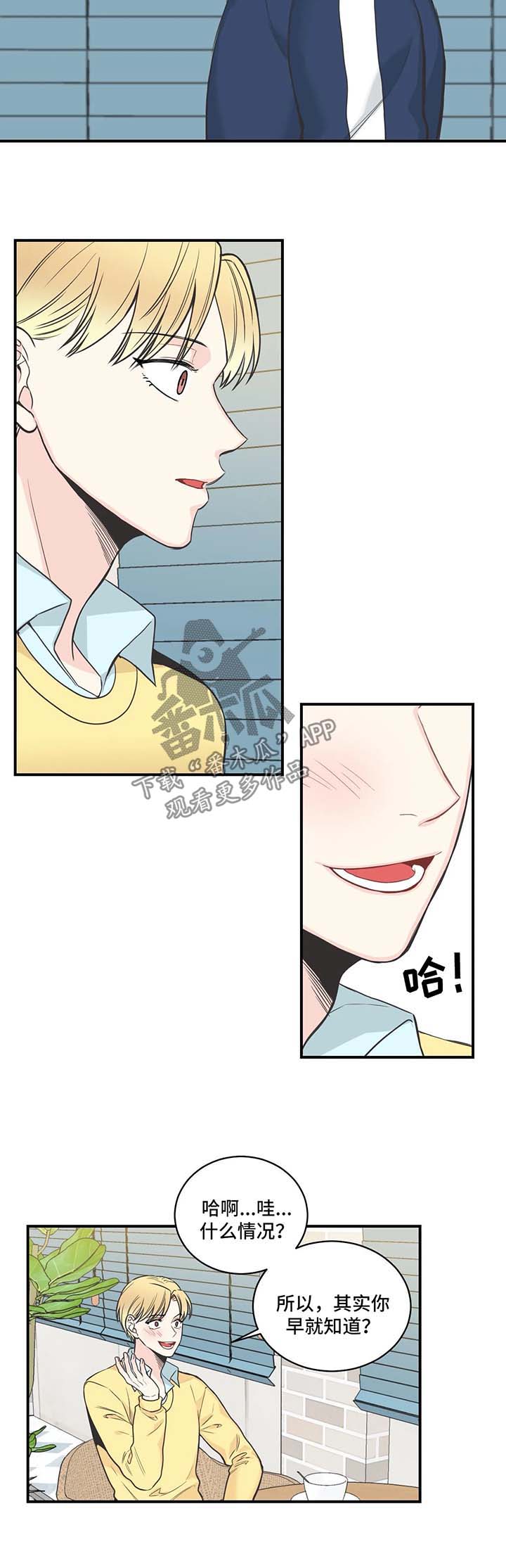 四叶草怎么折漫画,第47章：骗婚2图