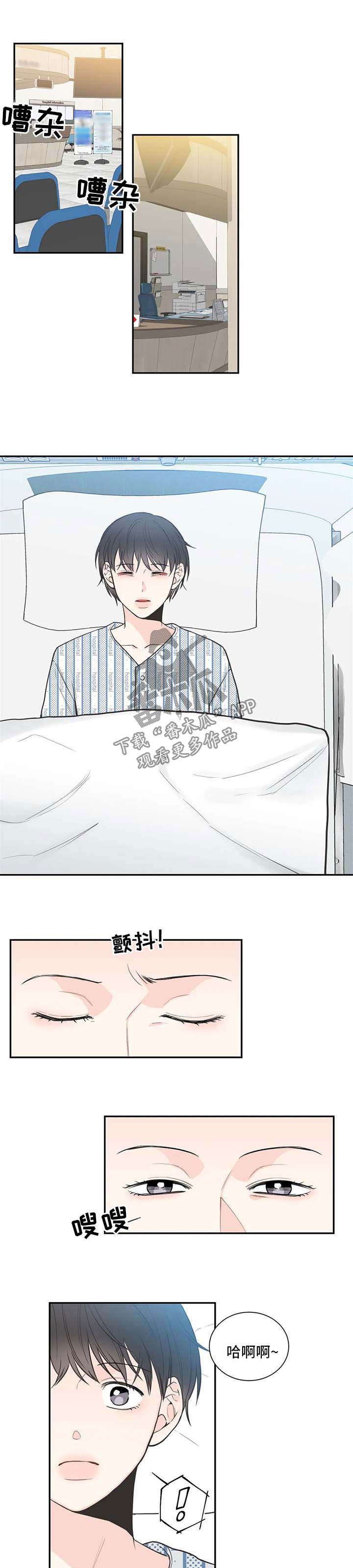 四叶草的花语和寓意漫画,第92章：【第二季】医院1图