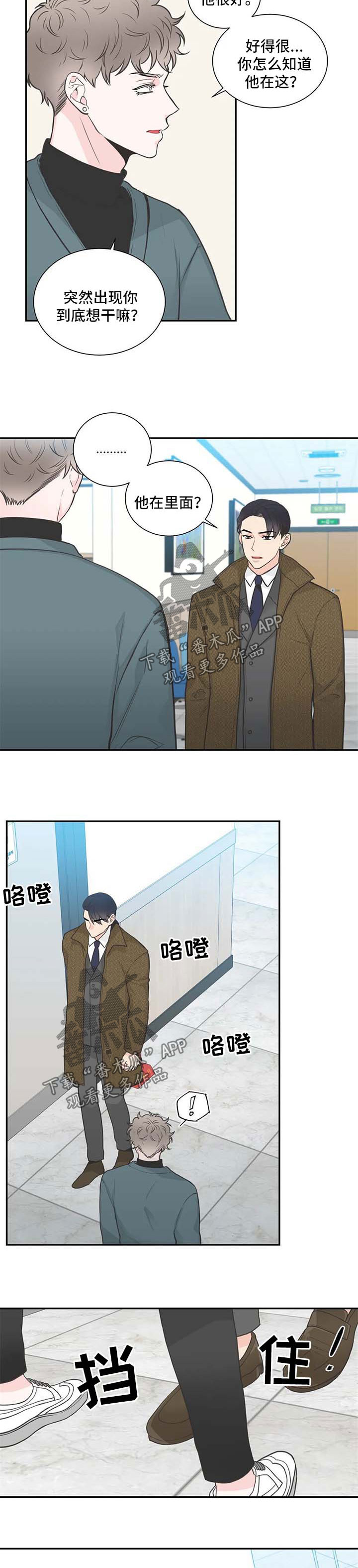 四叶草长什么样子漫画,第96章：【第二季】心情很糟2图