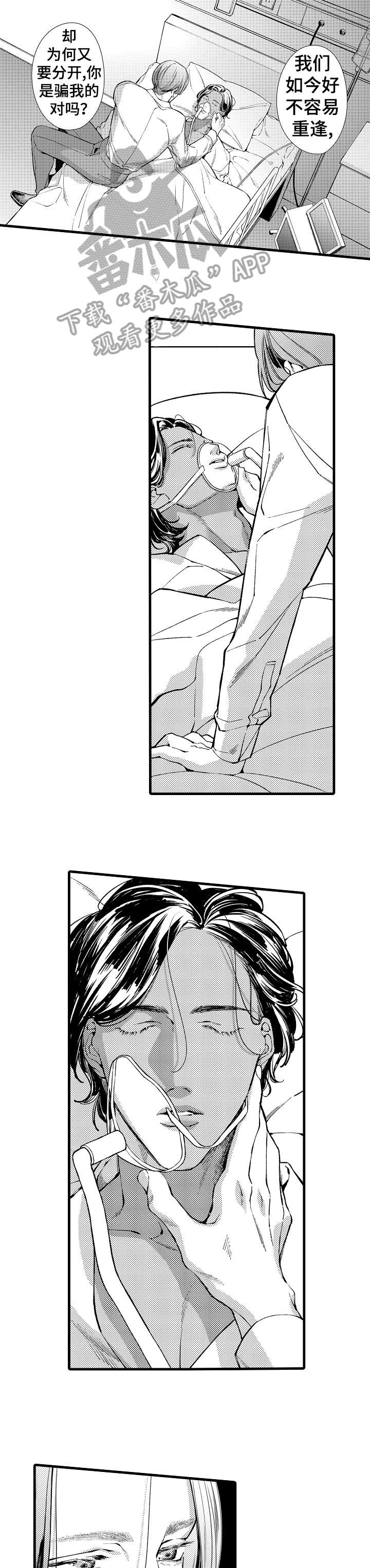 安拉的旨意漫画,第17章：遇刺2图