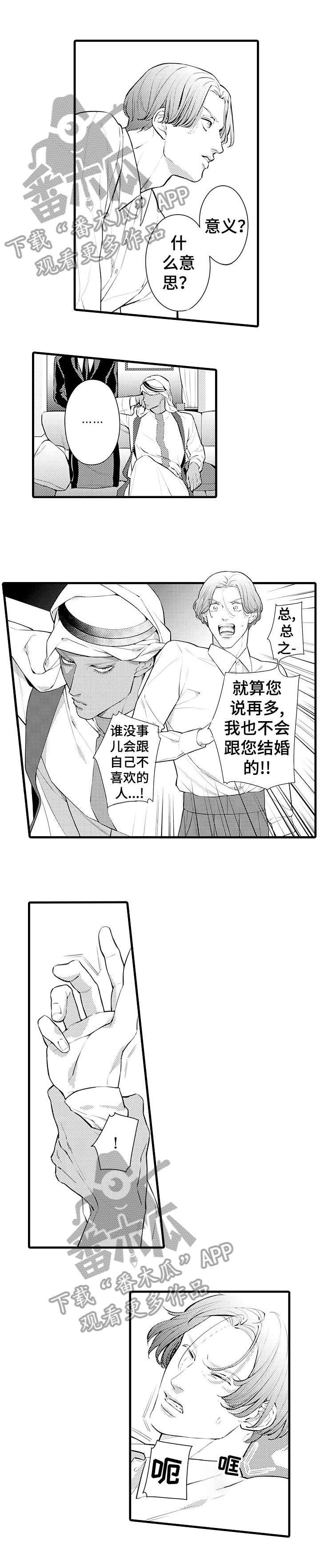 安拉的旨意漫画,第3章：软禁2图