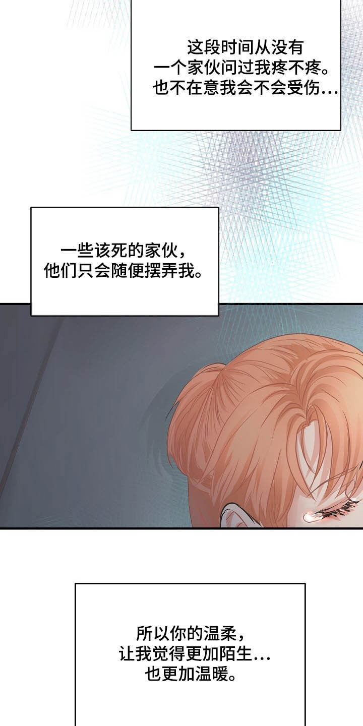 黎真主党领导人卡西姆发声漫画,第11章：温柔1图