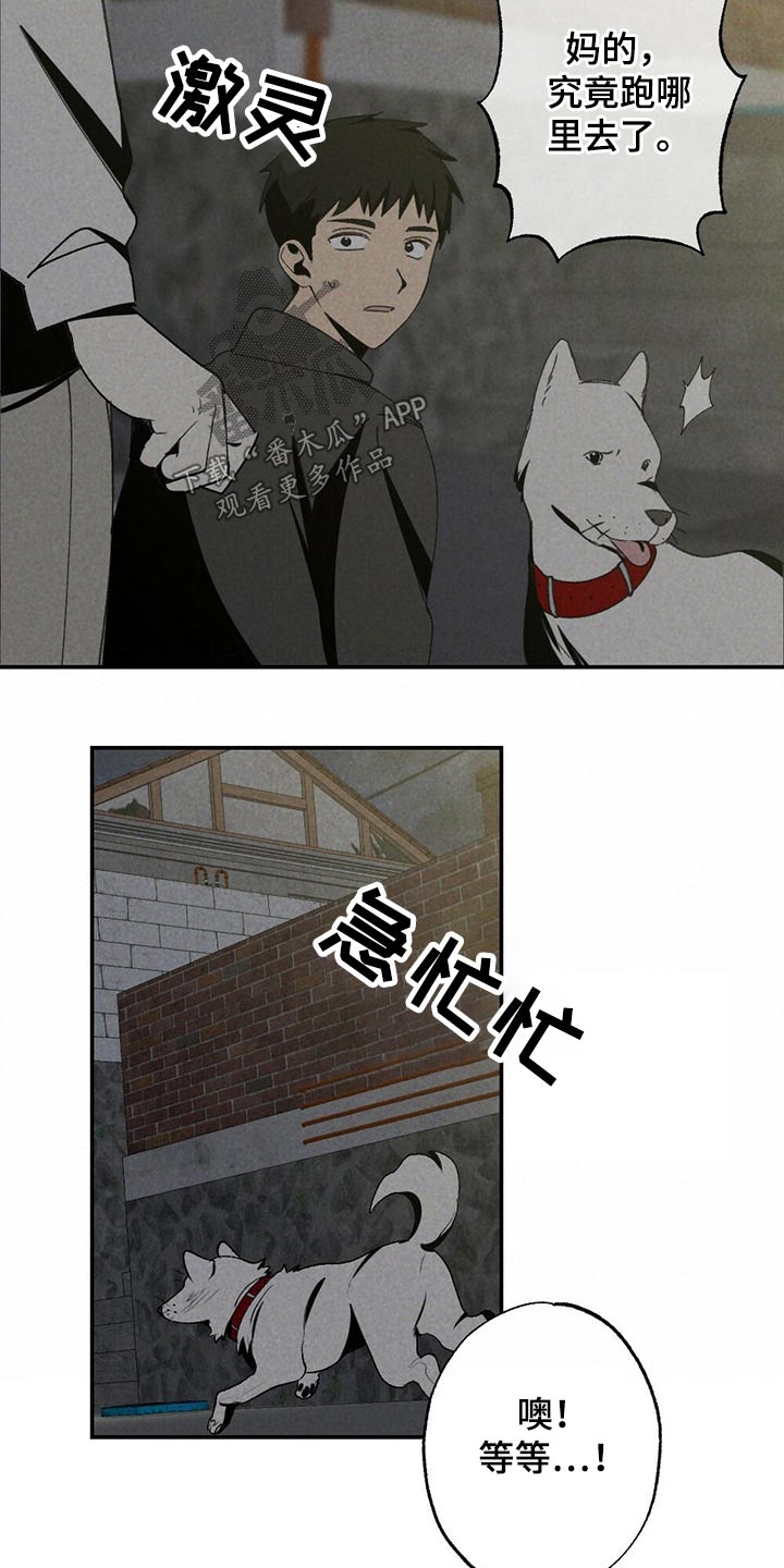 难以忘怀原唱版漫画,第101章：狗狗2图