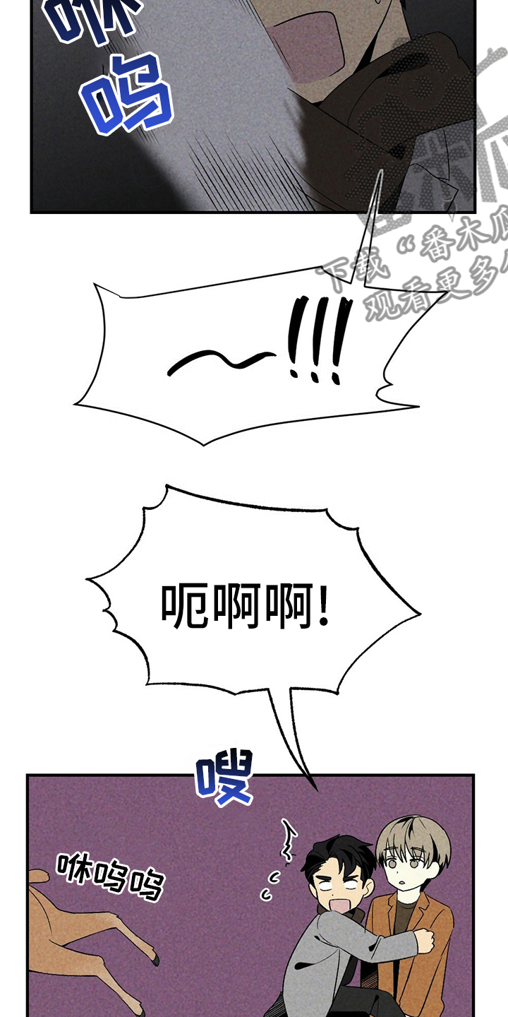 难以忘怀的初恋歌曲漫画,第60章：獐子2图