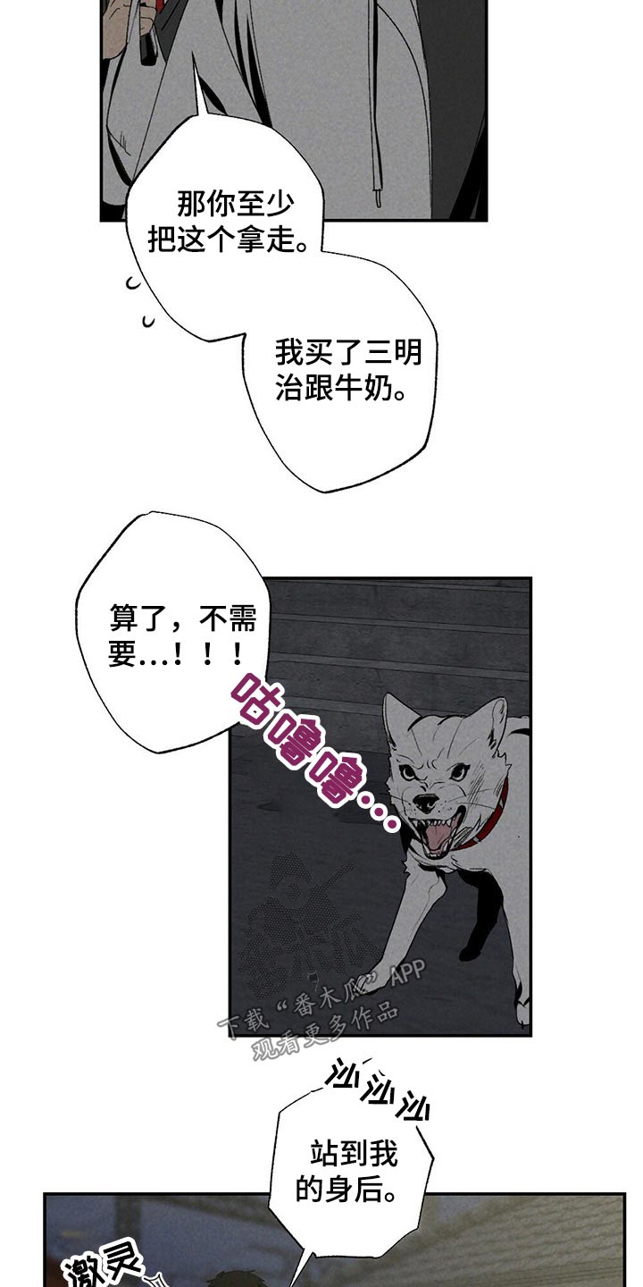 难以忘怀的事作文500字初一漫画,第101章：狗狗2图