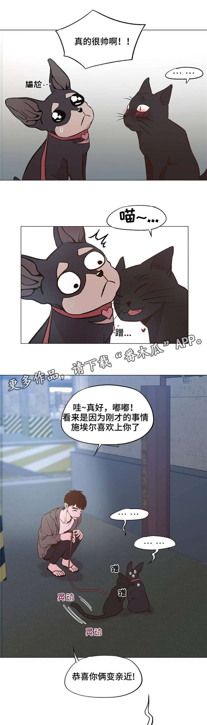 最终抉择怎么选漫画,第31章：和睦相处1图