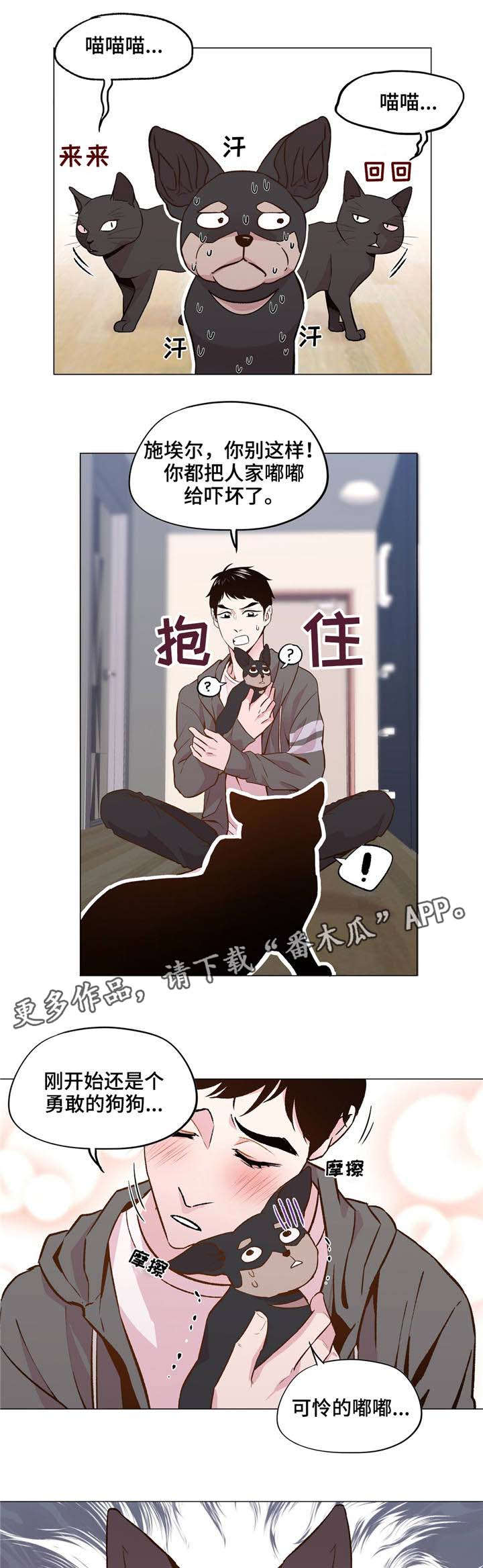 最终挑选漫画,第30章：一直被欺负2图