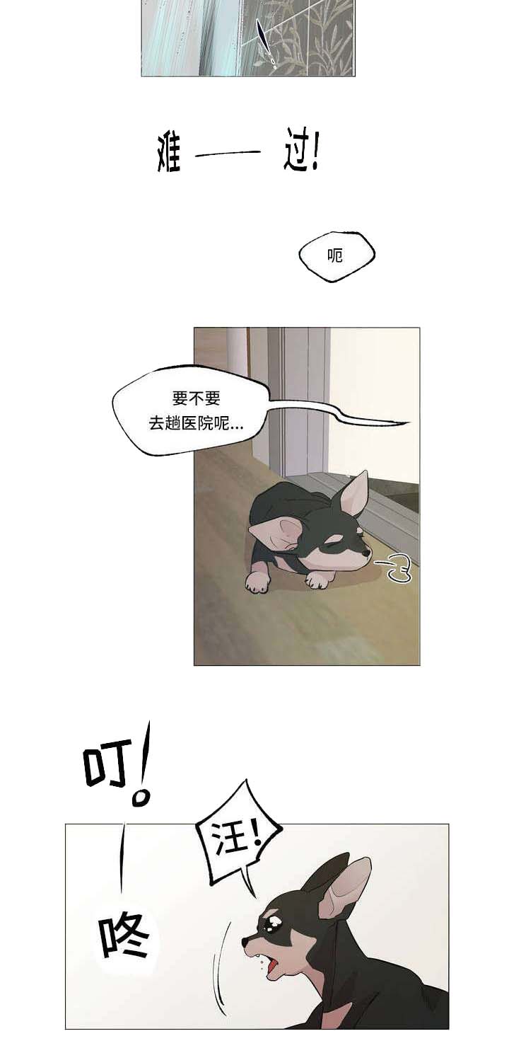 最终选择门窗漫画,第1章：邻居1图