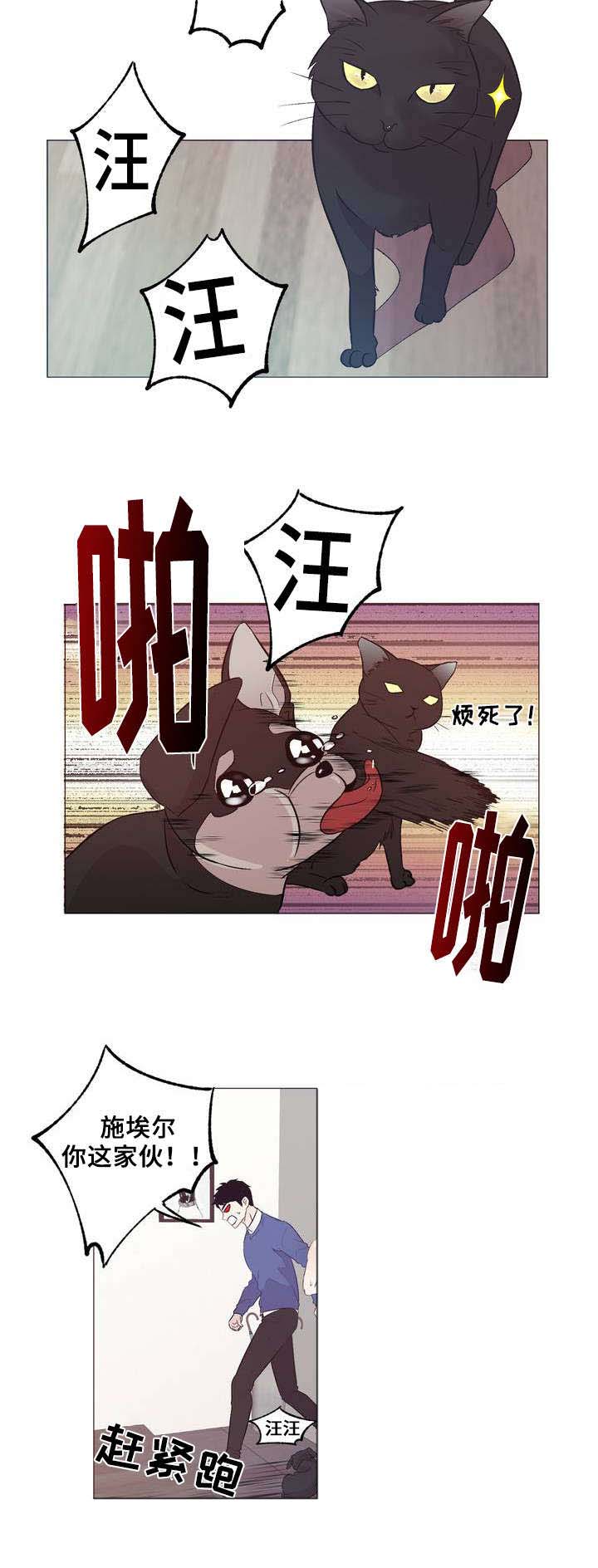 最终挑选漫画,第1章：邻居2图