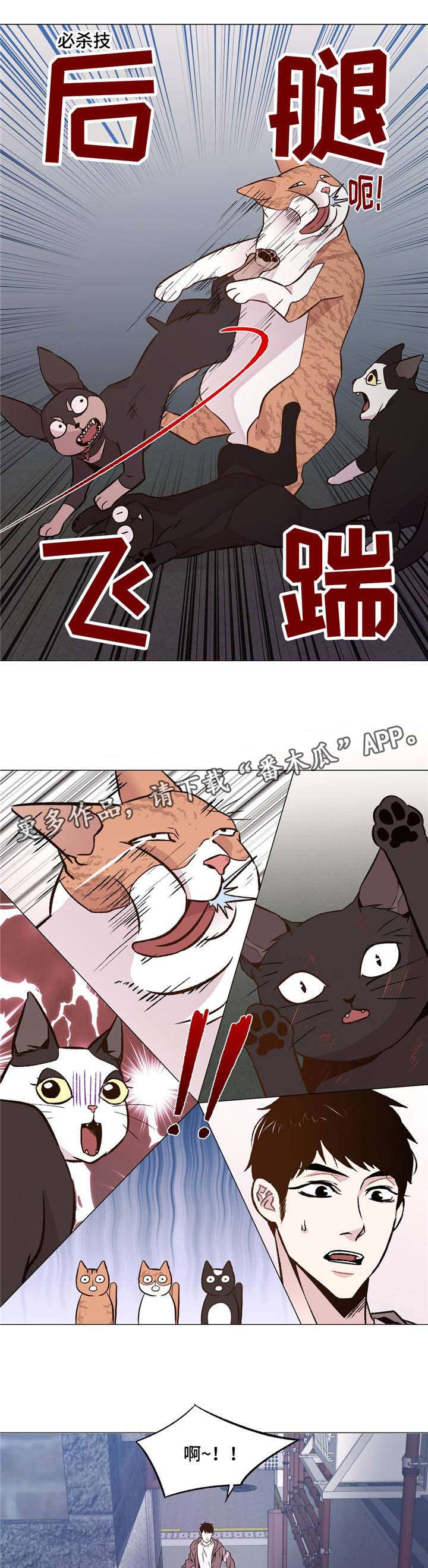 至尊挑选技巧漫画,第31章：和睦相处1图