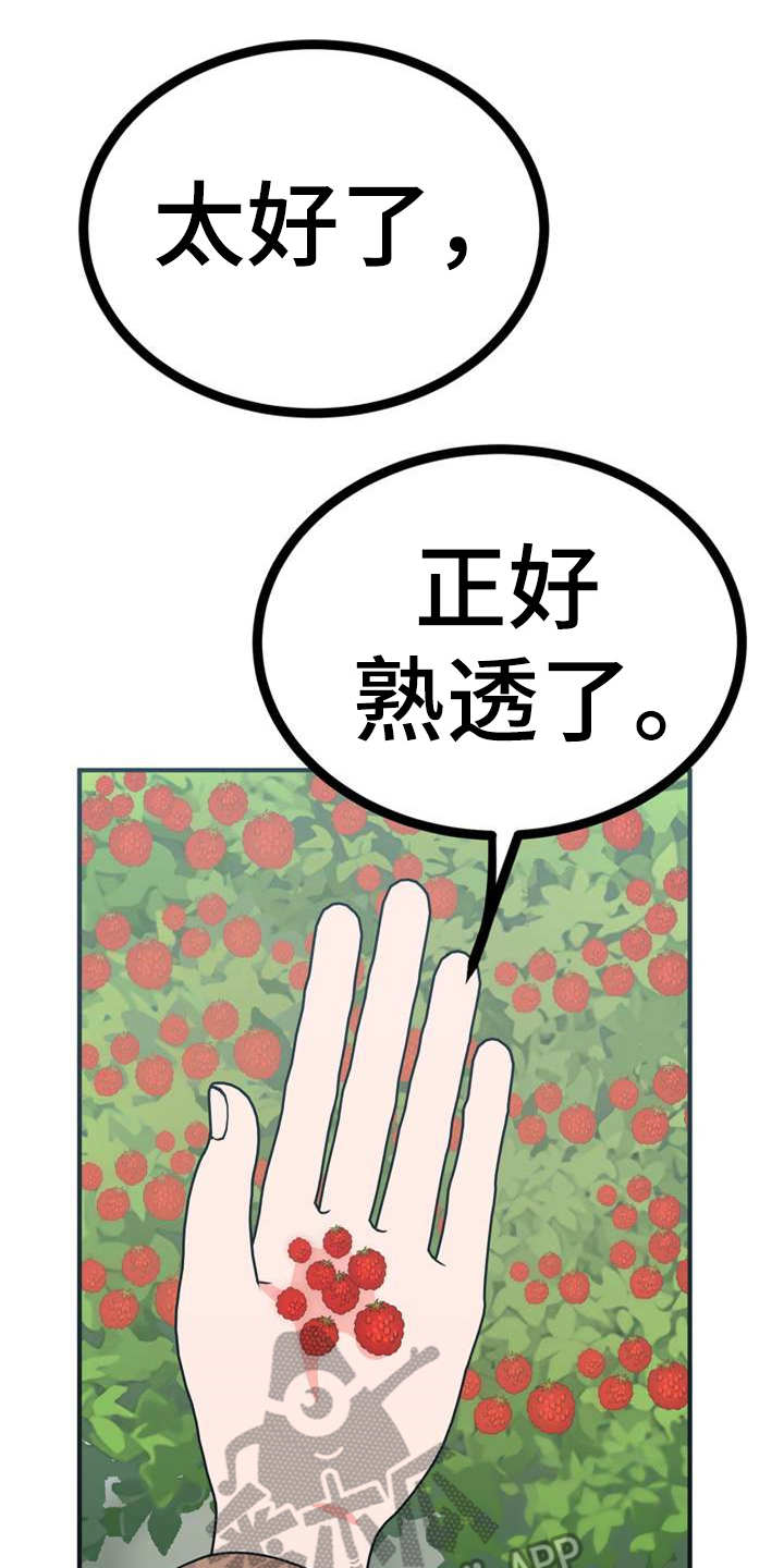 梅中公园漫画,第21章：采摘2图