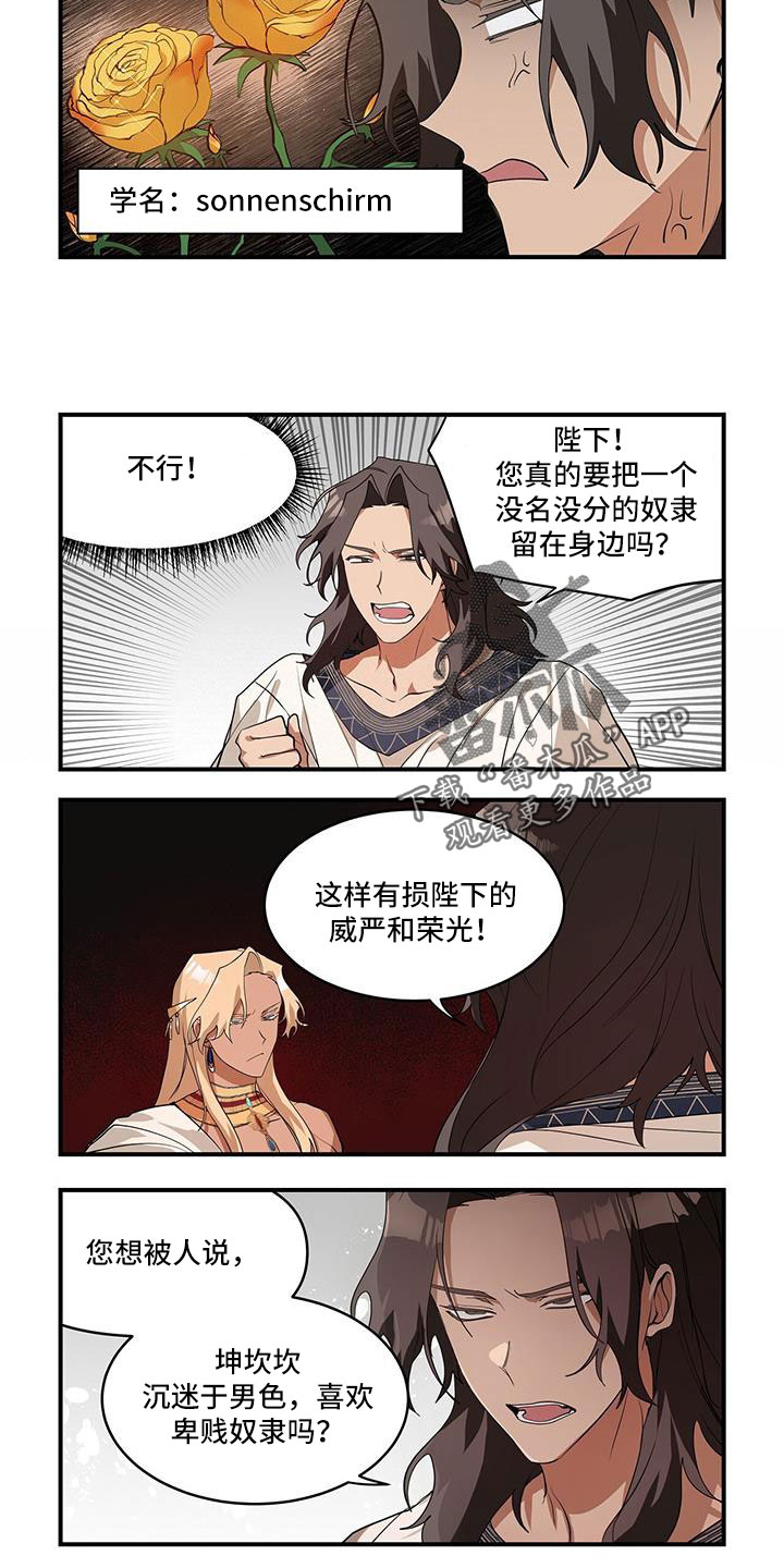 异界搬运工全集漫画,第31章：不能被爱吗2图