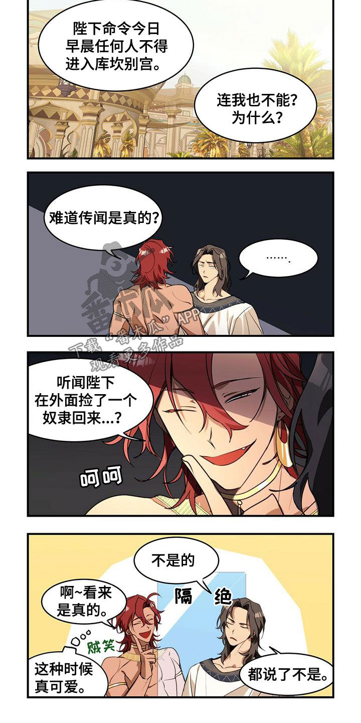 异界苦力漫画漫画,第11章：打听1图