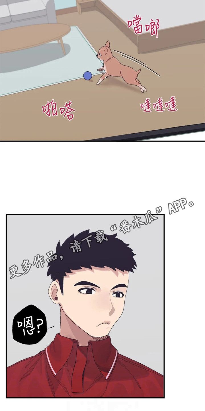 联网调试漫画,第6章：梦想2图