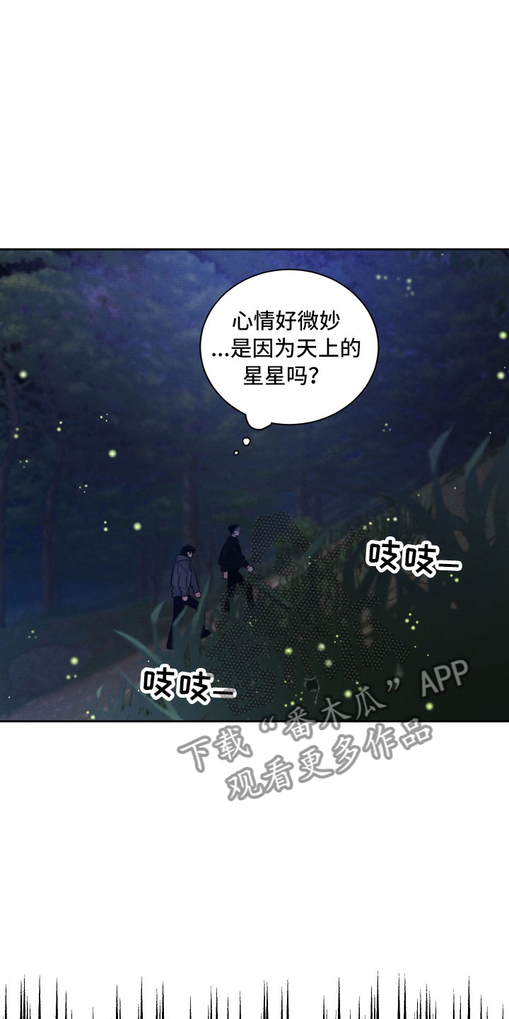 流星落在地上会怎么样漫画,第10章：星空下2图