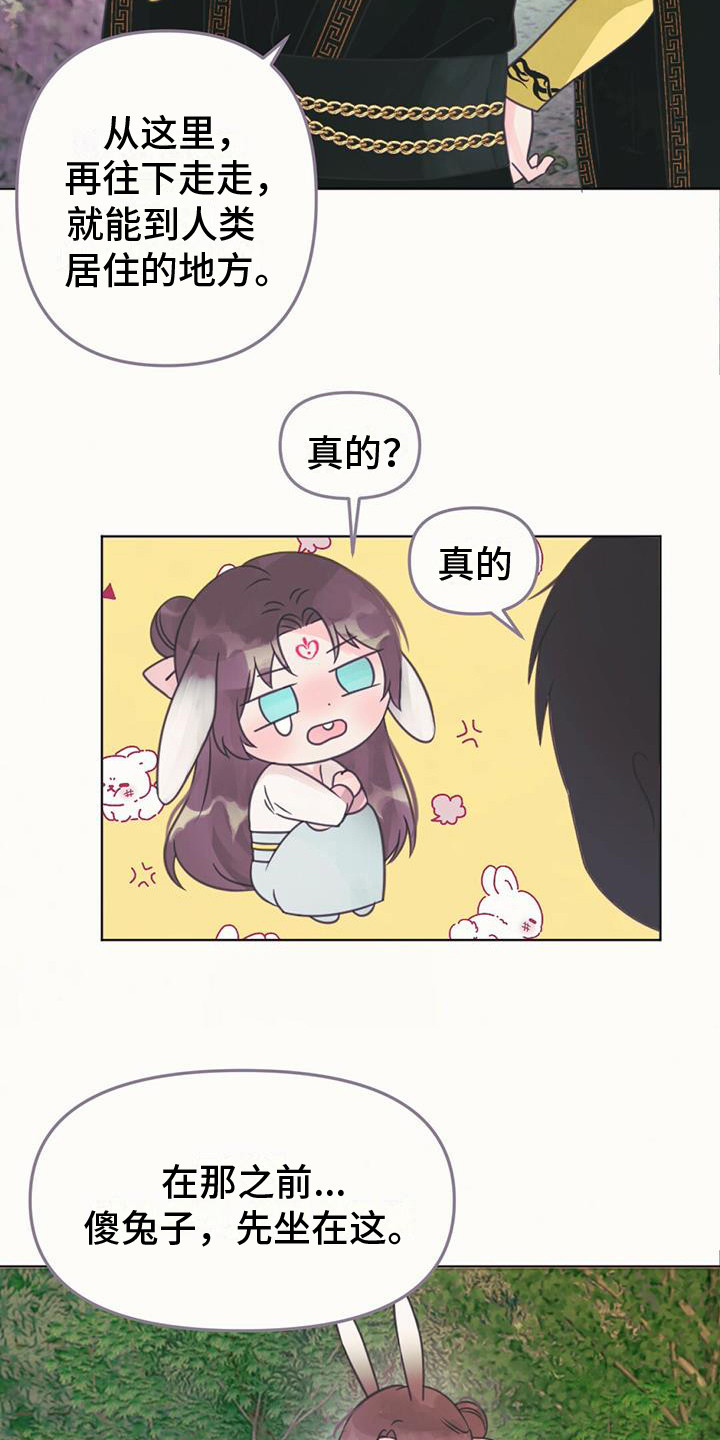 兔兔的那些事漫画,第24章：消除耳朵2图