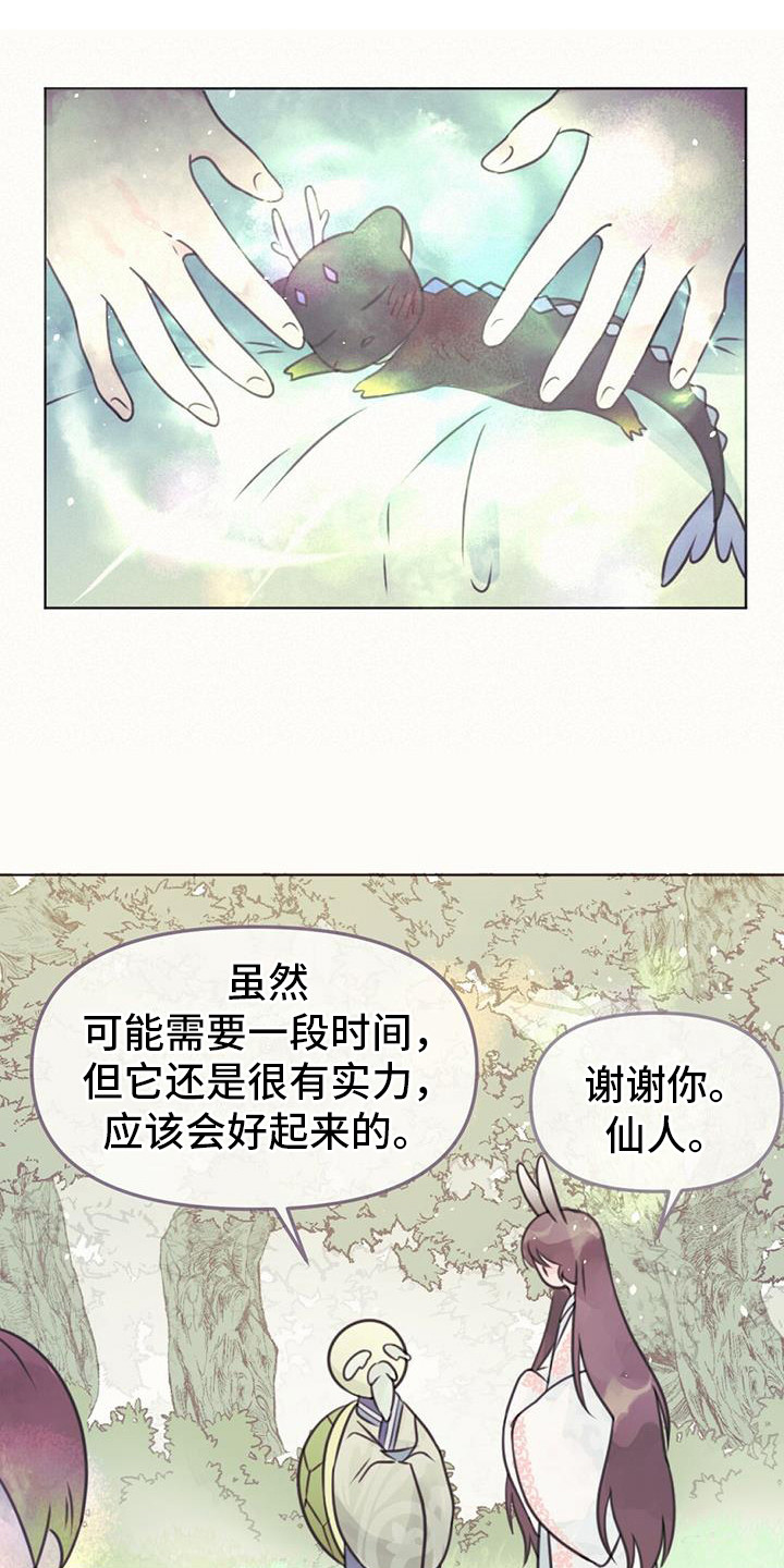 兔兔的画法漫画,第21章：查找资料1图