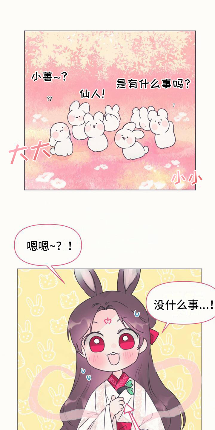 兔兔的小龙宝漫画,第1章：幼龙1图