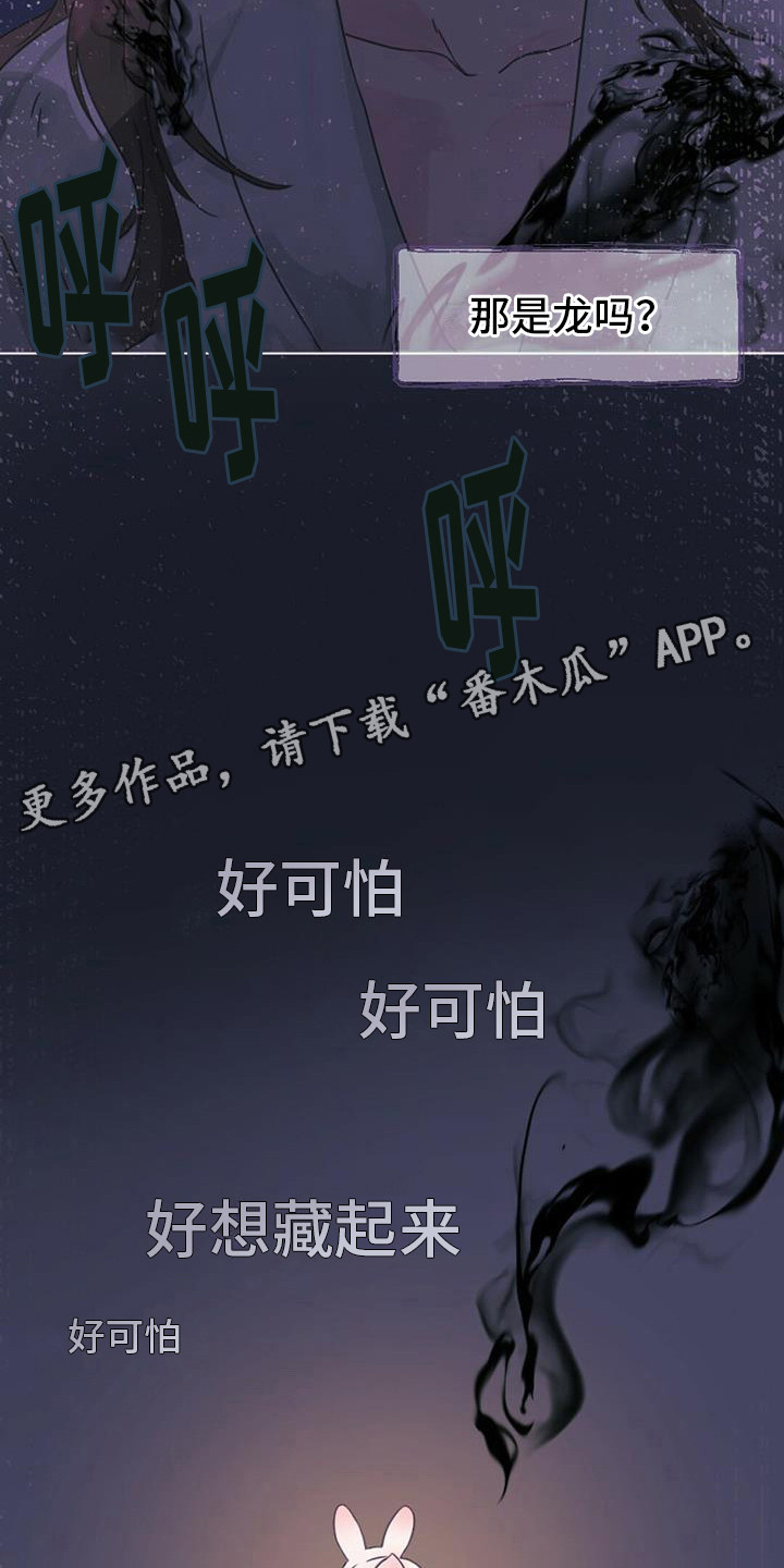 兔兔的小视频大全漫画,第8章：你是我的龙1图