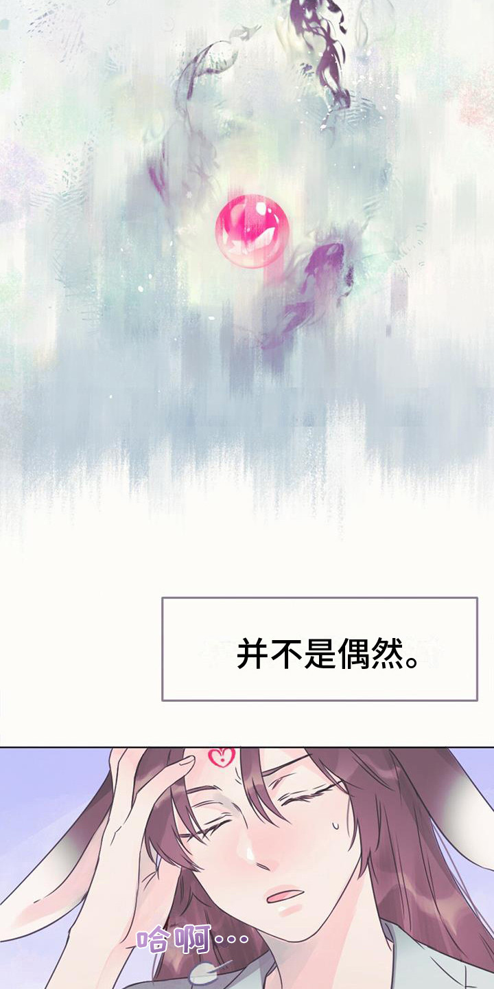 兔兔的做法漫画,第19章：如意珠1图