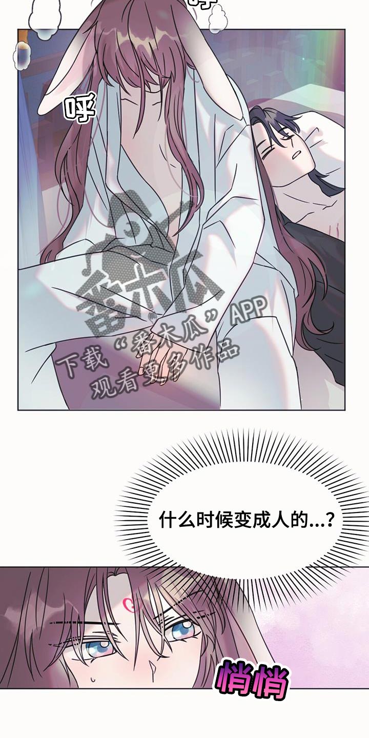 兔兔的小龙宝漫画,第48章：庆典2图