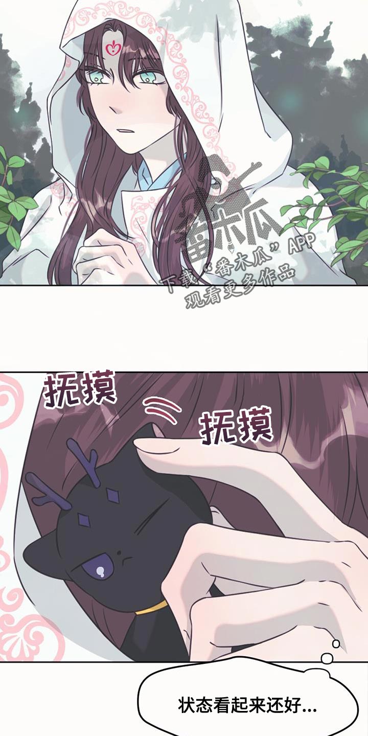 兔兔的小龙宝讲的什么漫画,第65章：一起去神堂吧1图