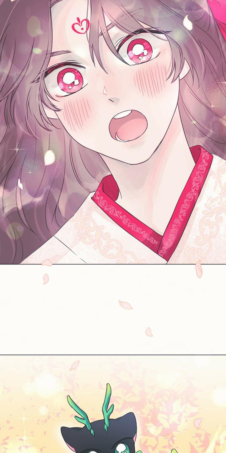 兔兔的小龙宝漫画,第1章：幼龙1图