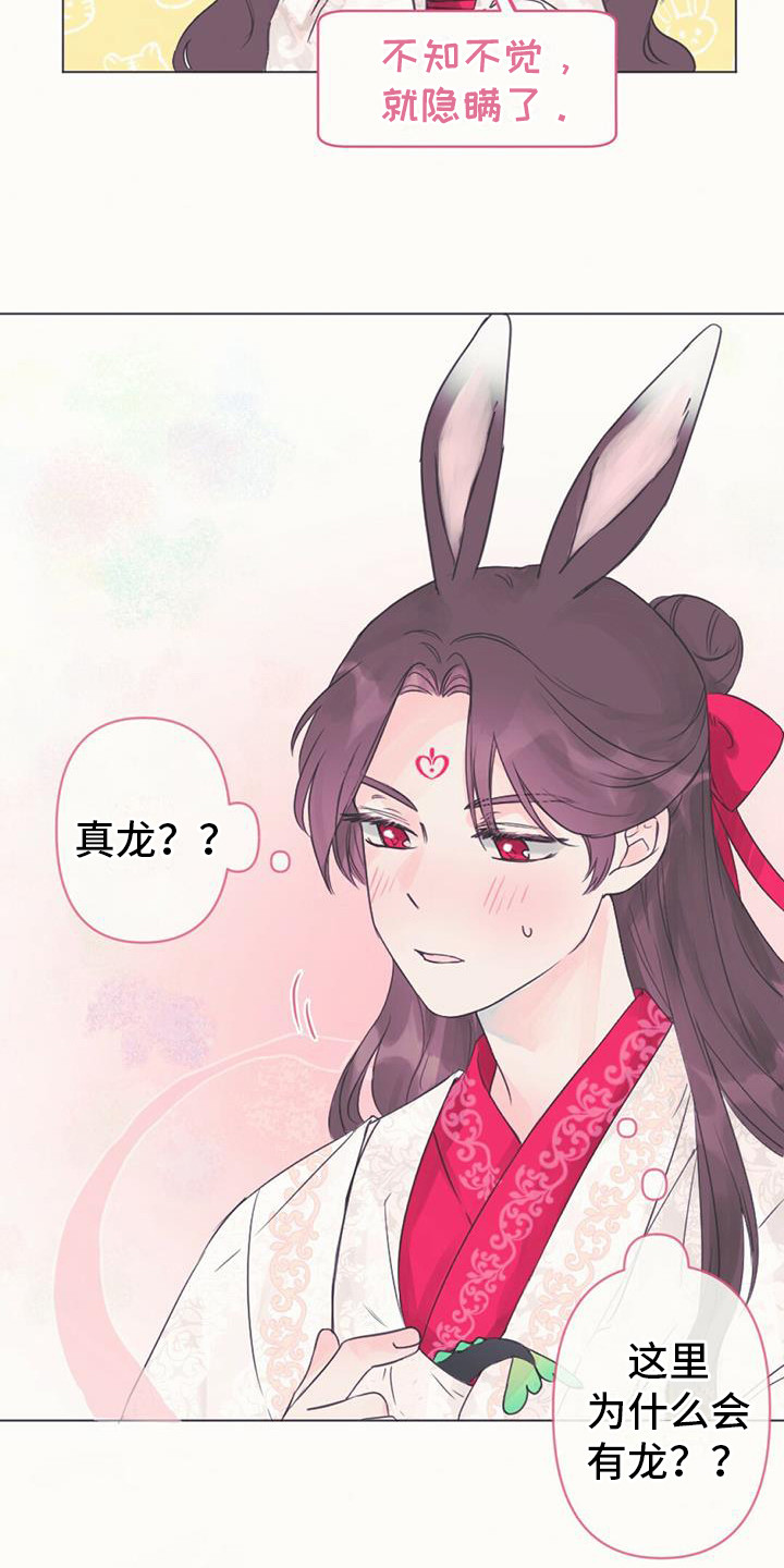 兔兔的小龙宝漫画,第1章：幼龙2图