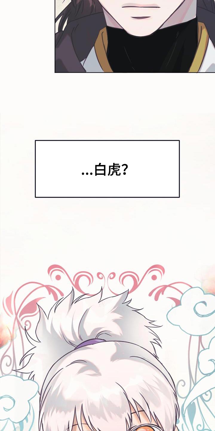 兔兔的小猪漫画,第43章：愤怒1图