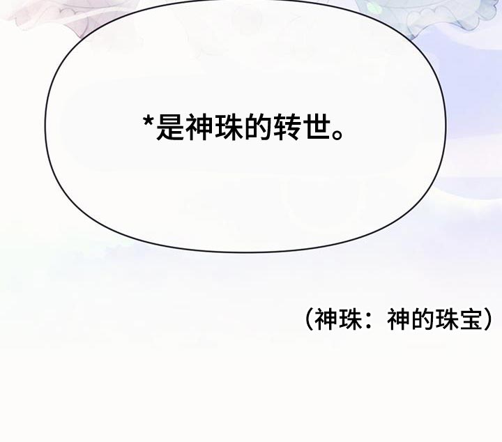 兔兔的小龙宝漫画,第67章：神珠的转世2图