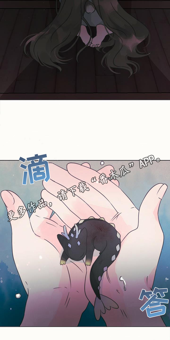 兔兔的故事睡前漫画,第17章：交换信息1图