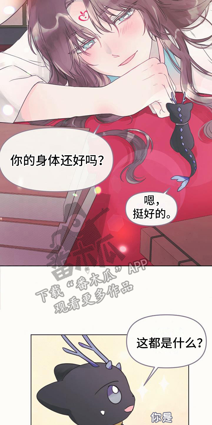 兔兔的小龙宝漫画,第22章：去人界2图