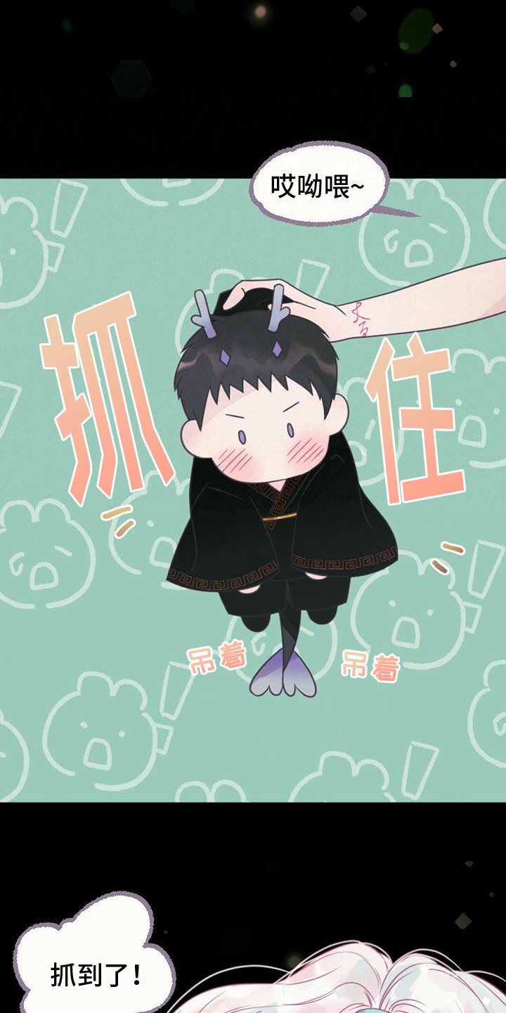 兔兔的小龙宝漫画,第27章：初次相遇1图