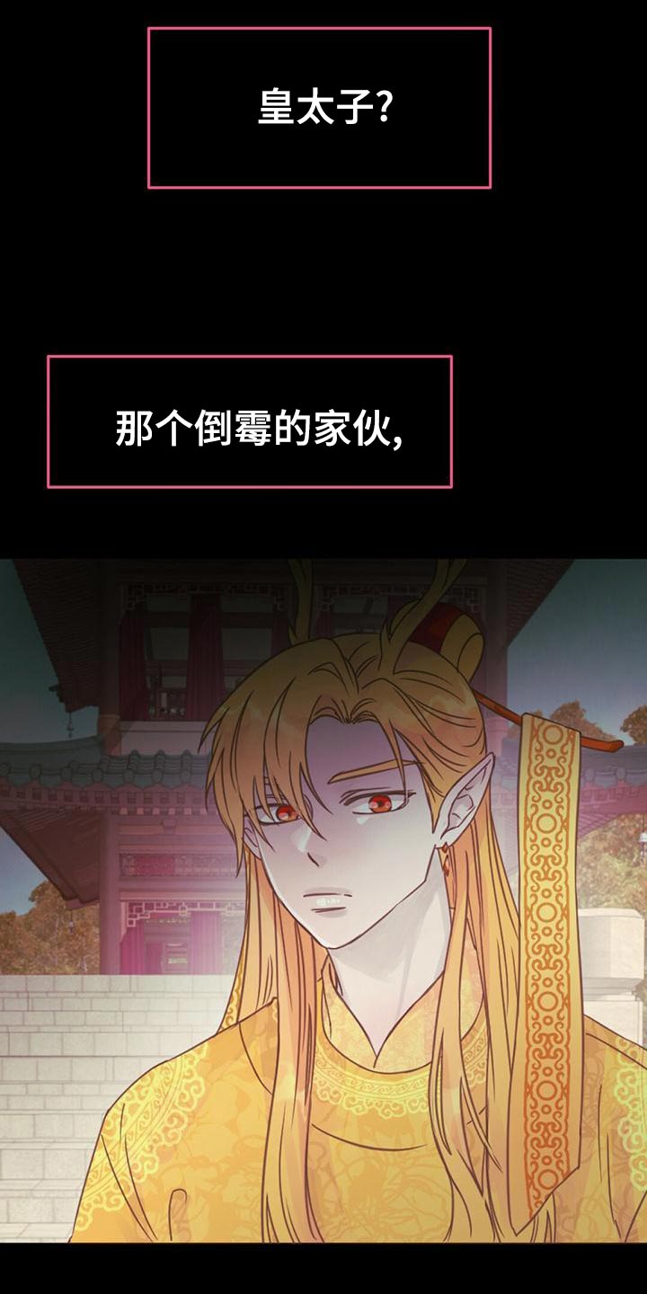 兔兔的那些事漫画,第35章：去人界玩吧2图