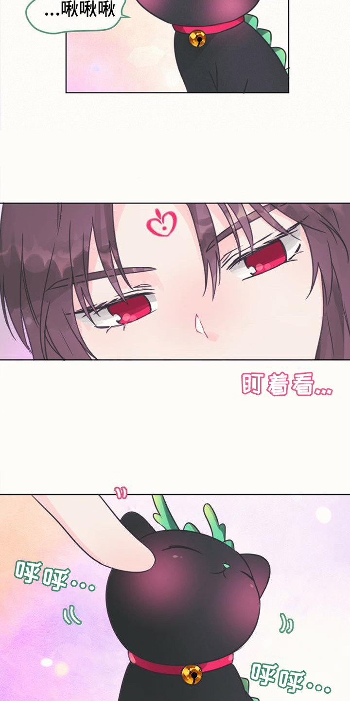 兔兔的小龙宝漫画,第14章：好奇1图