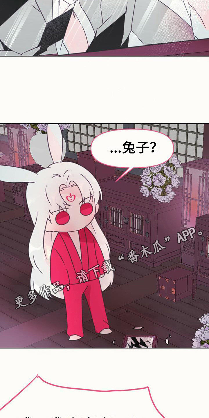 兔兔的小视频大全漫画,第16章：倒下1图