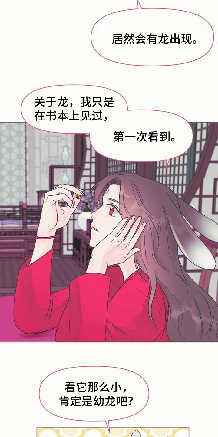 兔兔的小龙宝讲的什么漫画,第2章：取名1图